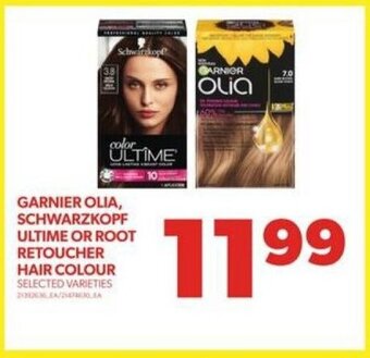 Real Canadian Superstore GARNIER OLIA, SCHWARZKOPF ULTIME OR ROOT RETOUCHER HAIR COLOUR offer