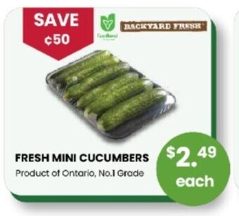 Coppa's Fresh Market FRESH MINI CUCUMBERS offer