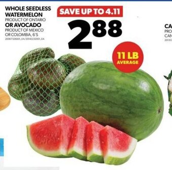 Real Canadian Superstore WHOLE SEEDLESS WATERMELON OR AVOCADO , 6'S offer