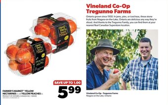 Real Canadian Superstore FARMER'S MARKET YELLOW NECTARINES 2L OR YELLOW PEACHES 3L offer