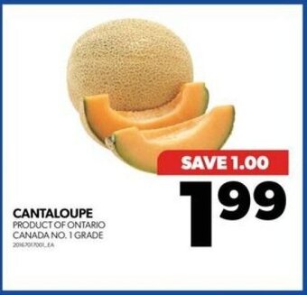 Real Canadian Superstore CANTALOUPE offer