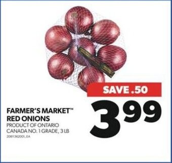 Real Canadian Superstore FARMER'S MARKET RED ONIONS, 3 LB offer