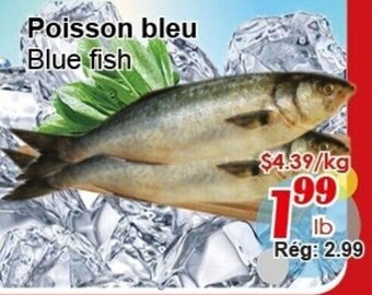 Blue Fish