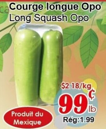 Marche C&T Long Squash Opo offer