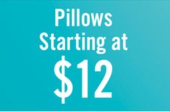 The Brick Pillows offer