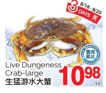 T&T Supermarket Live dungeness crab large offer