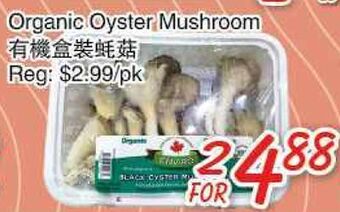 Foody Mart Organic oyster mushroom offer