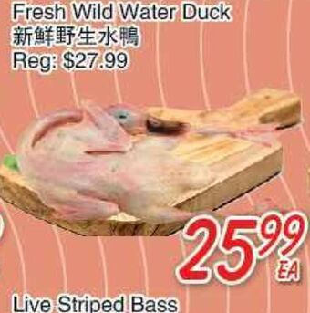 Foody Mart Fresh wild water duck offer