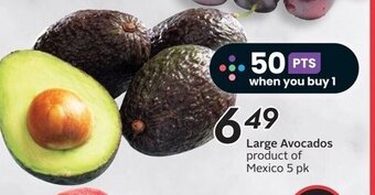 Large Avocados