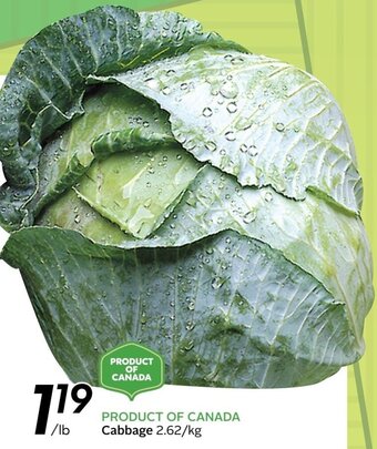 Sobeys Cabbage offer
