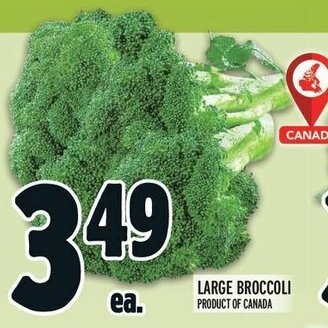 Metro LARGE BROCCOLI offer
