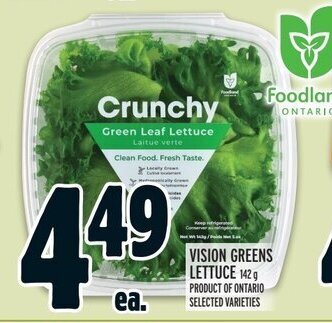 Metro VISION GREENS LETTUCE 142 g offer