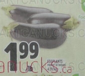 Metro EGGPLANTS offer
