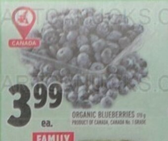 Metro ORGANIC BLUEBERRIES offer
