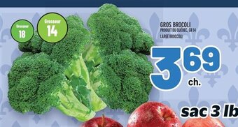 Metro GROS BROCOLI offer