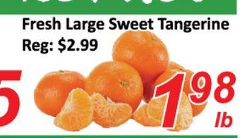 Seasons Foodmart Fresh large sweet tangerine offer