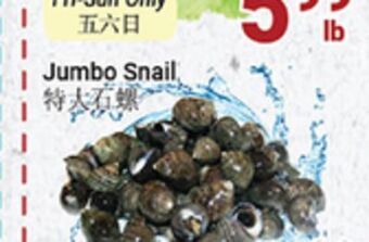 Oceans Fresh Food Market Jumbo snail offer