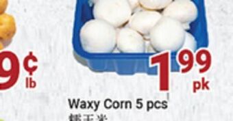 Oceans Fresh Food Market White mushroom offer