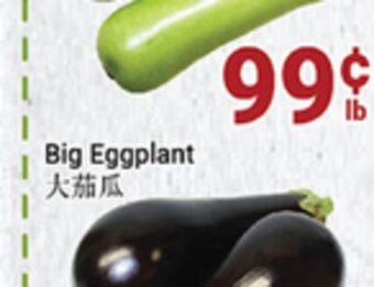 Oceans Fresh Food Market Opo squash offer