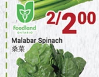 Oceans Fresh Food Market Malabar spinach offer