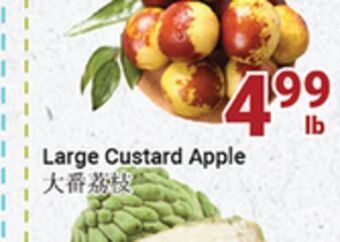 Oceans Fresh Food Market Winter jujube offer