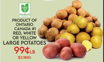 RED, WHITE OR YELLOW LARGE POTATOES