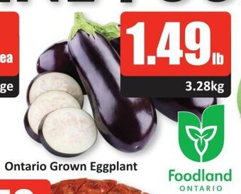 Starsky Ontario Grown Eggplant, offer
