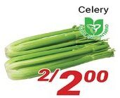 Nations Fresh Foods Celery offer