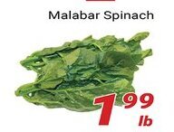 Nations Fresh Foods Malabar Spinach offer