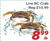 Nations Fresh Foods Live BC Crab offer