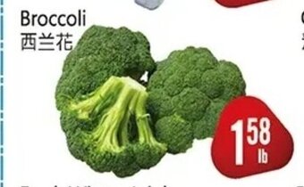 Broccoli