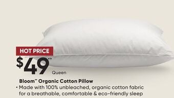 Sleep Country Bloom organic cotton pillow offer