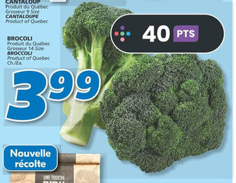 IGA BROCCOLI offer