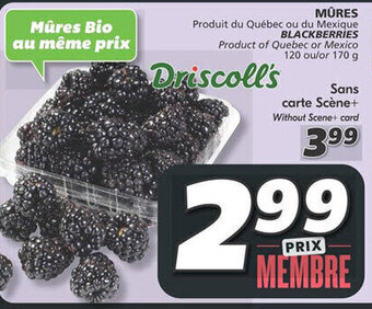 IGA BLACKBERRIES offer