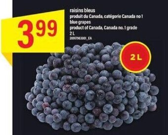 Maxi raisins bleus 2L offer