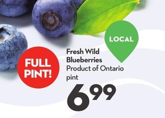 Longo's Fresh wild blueberries offer