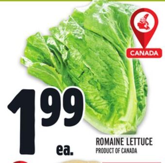 Metro Romaine lettuce offer