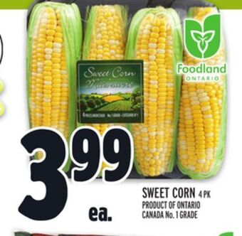 Metro Sweet corn offer