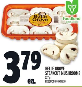 Metro Belle grove steakcut mushrooms offer