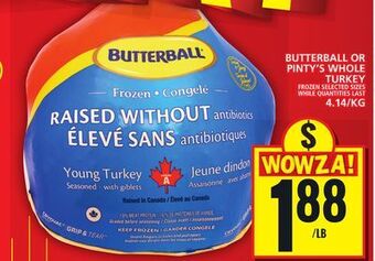 Food Basics Butterball or pinty's whole turkey offer