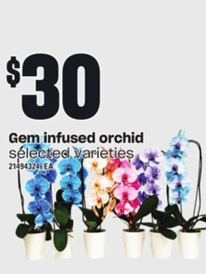 Independent Grocer Gem infused orchid offer