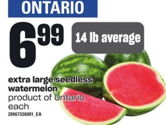 Loblaws Extra large seedless watermelon, 14 lb average offer