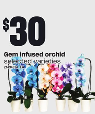 Loblaws Gem infused orchid offer