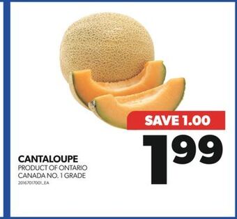 Real Canadian Superstore Cantaloupe offer