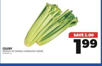 Real Canadian Superstore Celery offer
