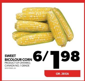 Real Canadian Superstore Sweet bicolour corn offer