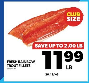 Real Canadian Superstore Fresh rainbow trout fillets offer