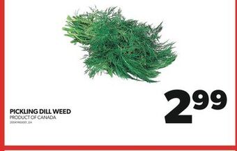 Real Canadian Superstore Pickling dill weed offer