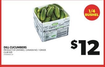 Real Canadian Superstore Dill cucumbers, 1/4 bushel offer