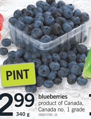 Fortinos Blueberries, 340 g offer